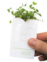 Creative Business Cards